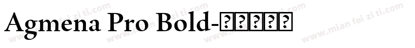 Agmena Pro Bold字体转换